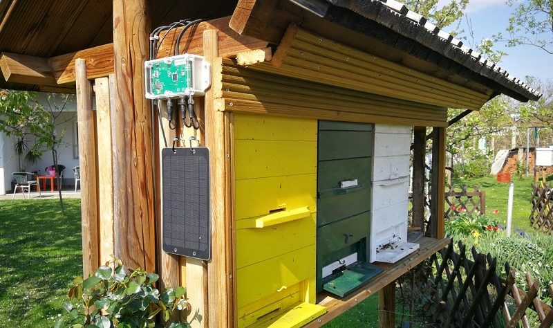 Beehive scale helps beekeepers understand the colony’s situation