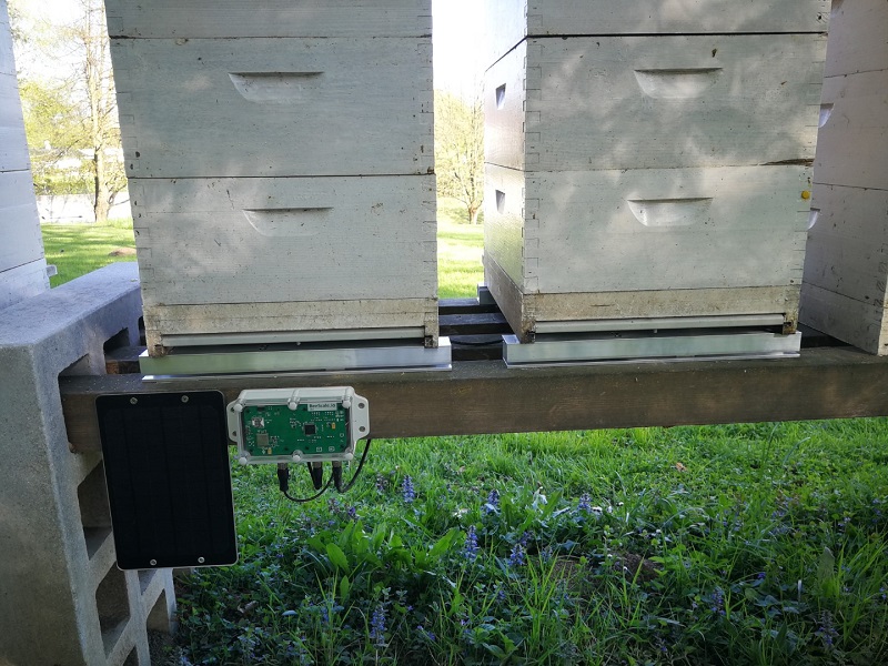 Beehive scale for small behive