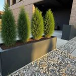 Large outdoor flower pots