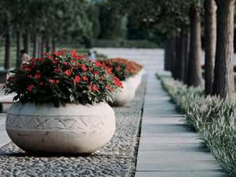 Large outdoor flower pots are an excellent choice